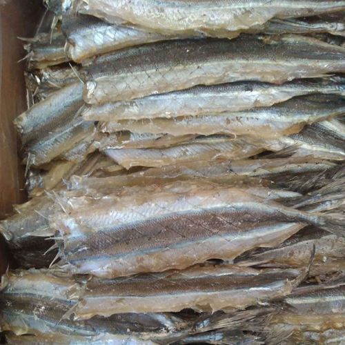 供应马步鱼干针鱼干海鲜类水产批发