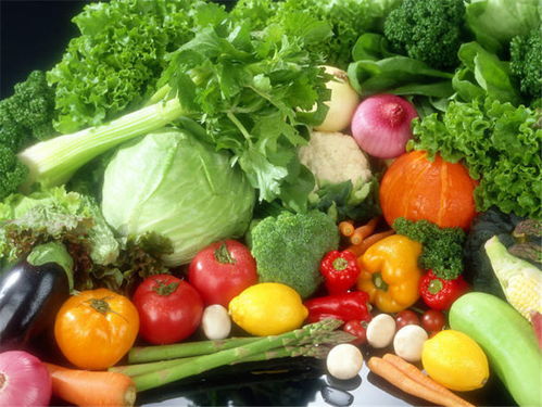 蔬菜批发配送机构 和康食品同城配送 白云区蔬菜批发配送